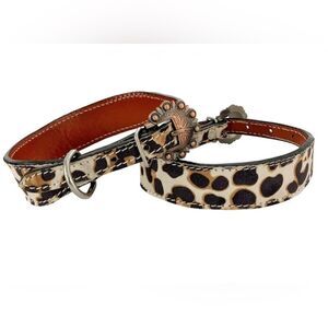 Showman Couture Genuine leather dog collar in leopard print